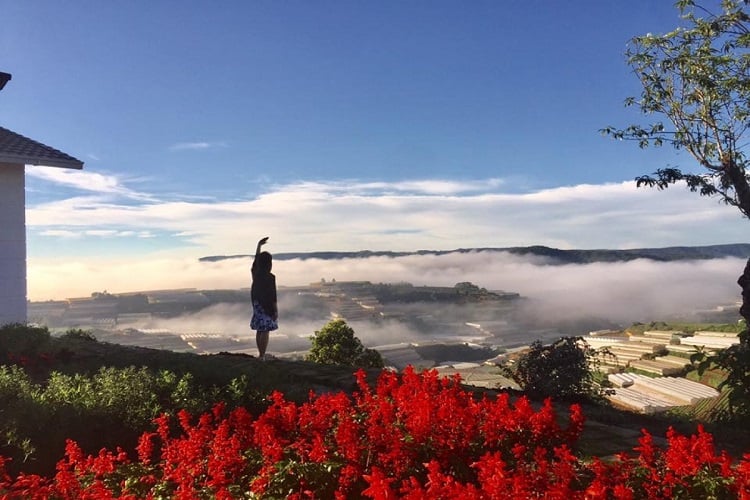 homestay-da-lat-1