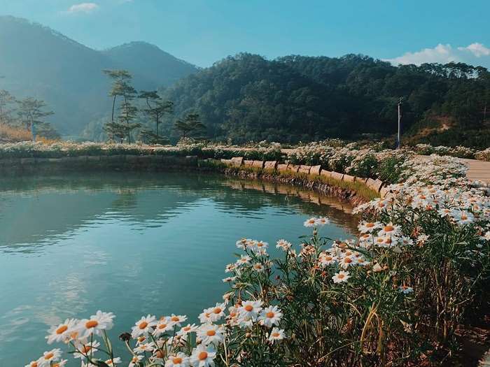 homestay-da-lat-4